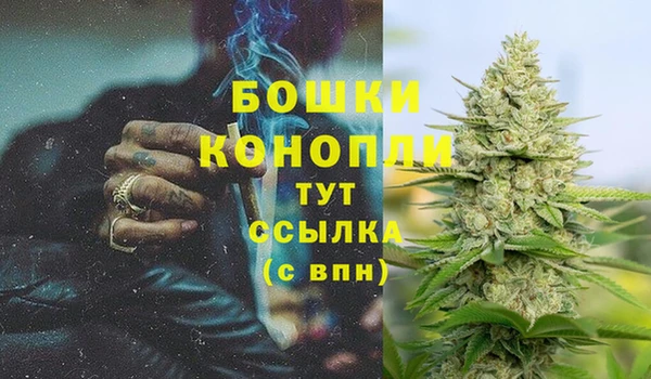 сатива Абдулино