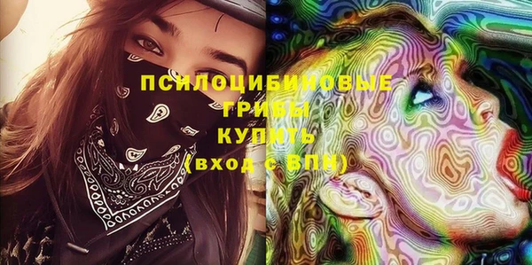 сатива Абдулино
