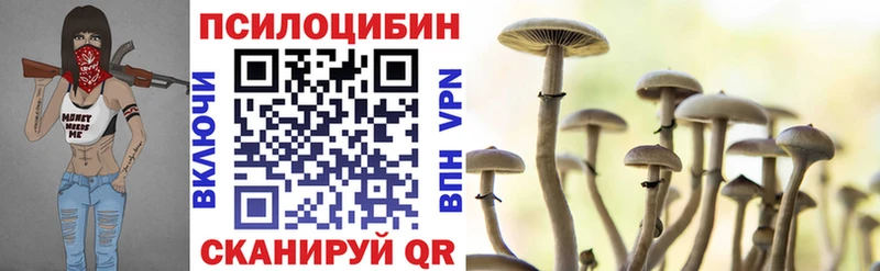 где купить наркоту  Сергач  mega ССЫЛКА  Галлюциногенные грибы прущие грибы 